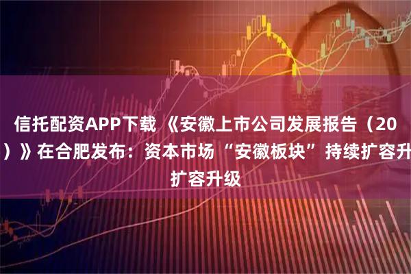 信托配资APP下载 《安徽上市公司发展报告（2025）》在合肥发布：资本市场 “安徽板块” 持续扩容升级